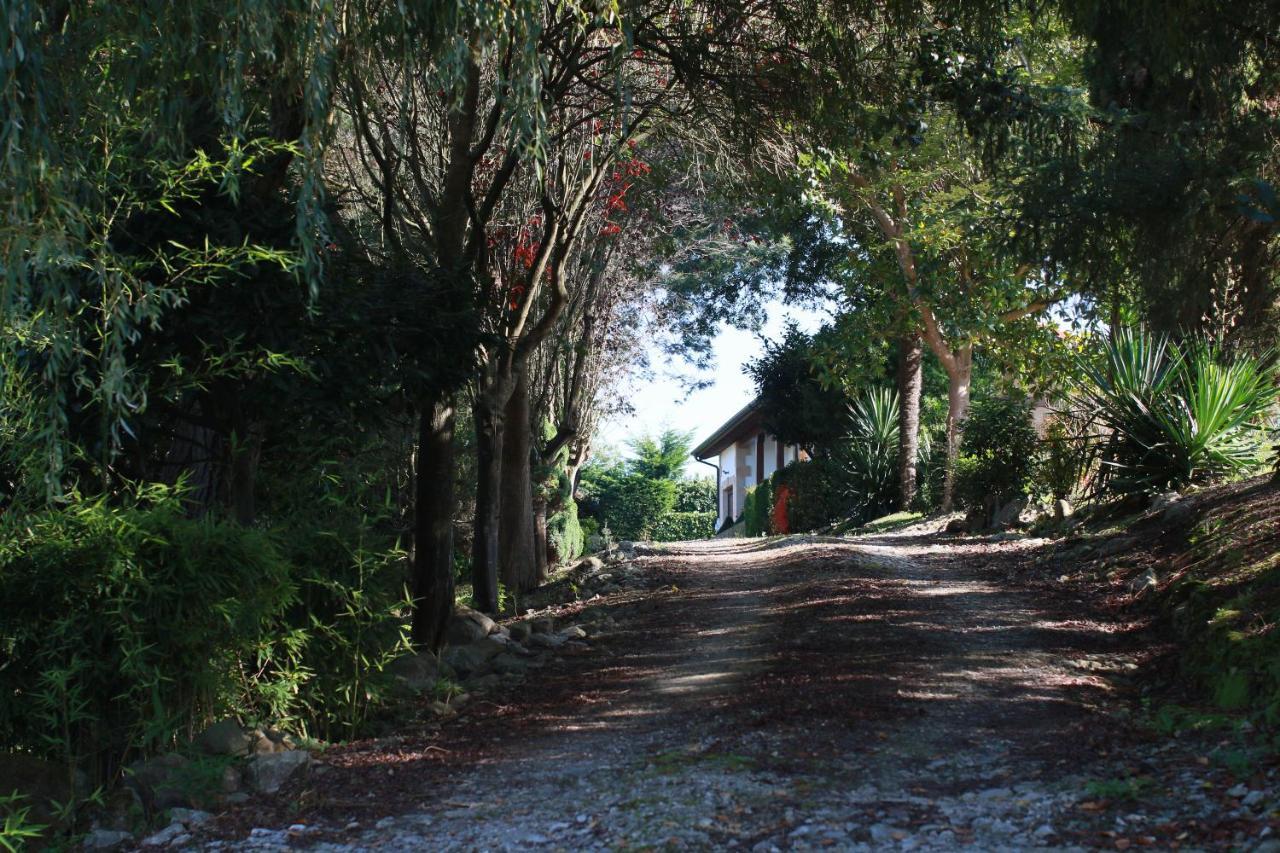 Apartamentos Garden Rock Toñanes Buitenkant foto